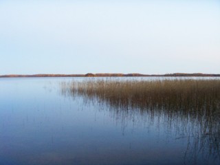Озеро Большое Олбито, на котором стоит деревня. Размер примерно 3х4 км
