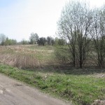 Фотография на дороге прилегающей к юго-восточному краю участка